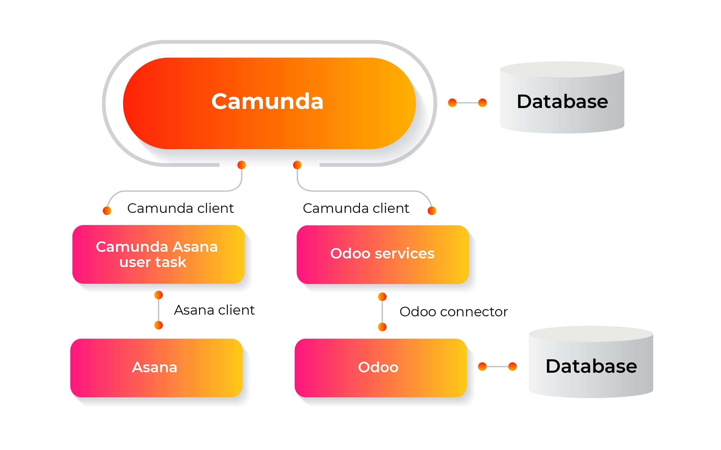 scheme of camunda-odoo-asana connection