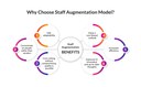 Why Choose Staff Augmentation Model.jpg