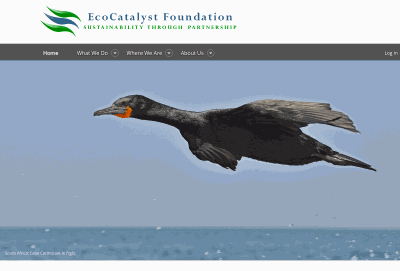 EcoCatalyst Foundation