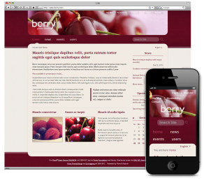 Berry Responsive Plone Theme