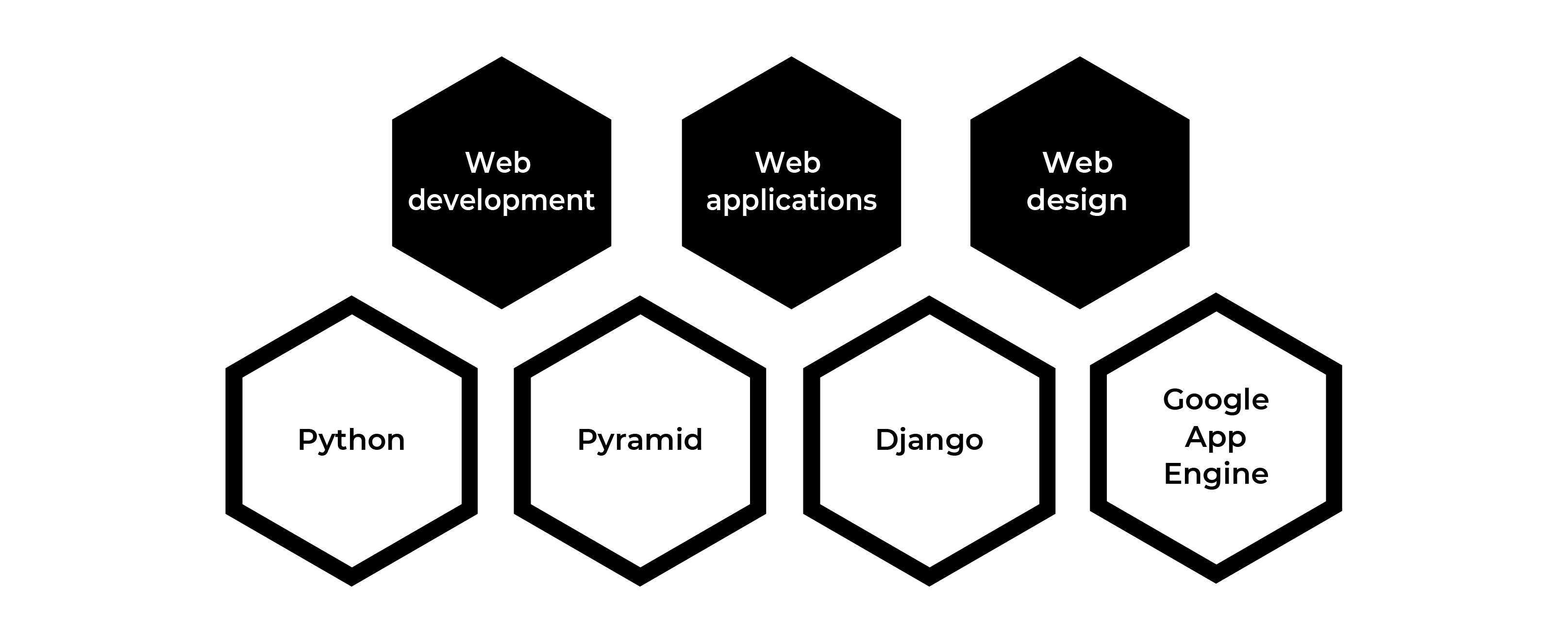 Python Development Web Application Development Expertise