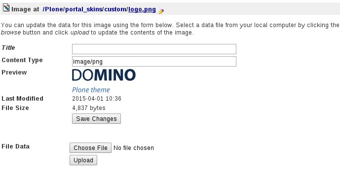 customize Domino Theme Logo