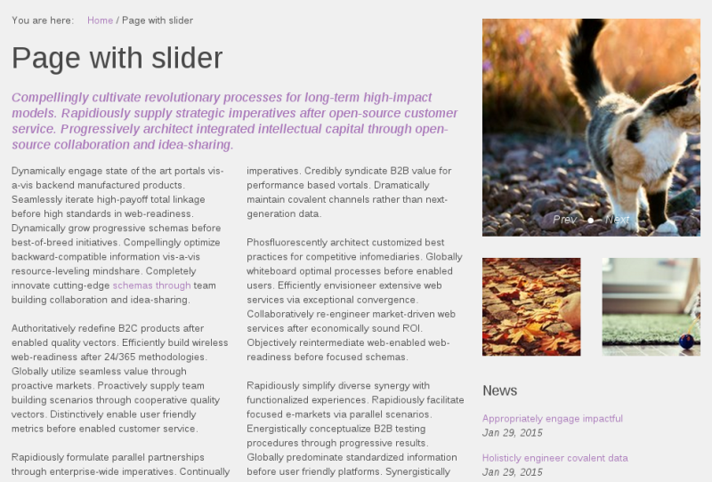 Sliced Plone theme custom slider for collection portlet