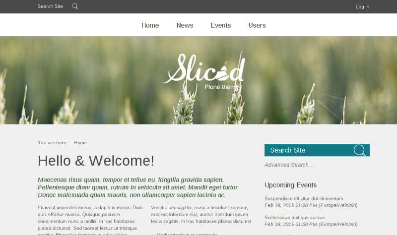 Slice Plone theme top image