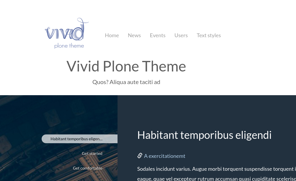 Vivid theme logo